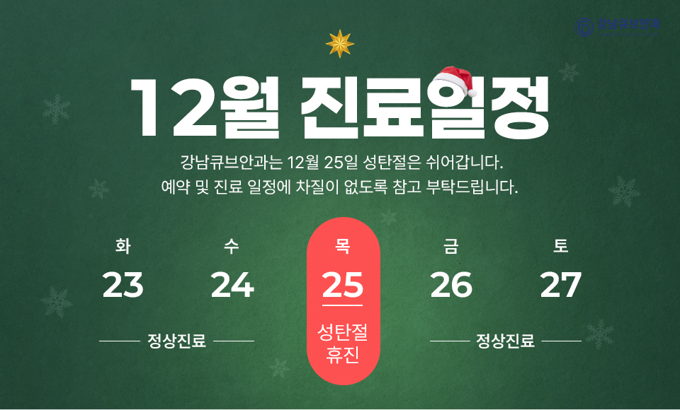 12월 진료일정